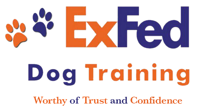 ExFed Dog Training Worthy of Trust and Confidence Transparent Logo